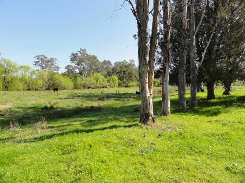 ‘Camelot’ Lewins Lane, Tumblong NSW 2729