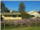 1404 Brungle Road, Brungle NSW 2722