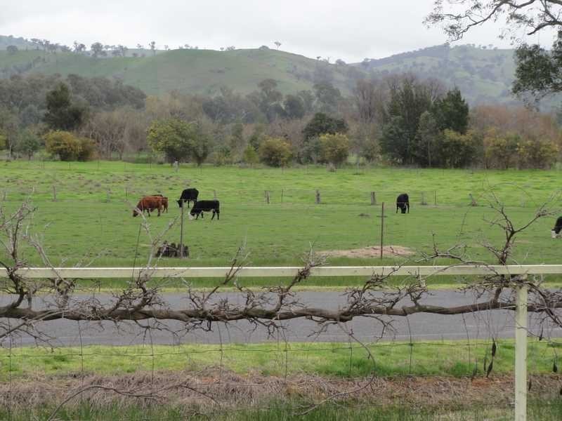 1404 Brungle Road, Brungle NSW 2722