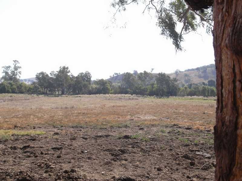 10 Lewins Lane, Tumblong NSW 2729