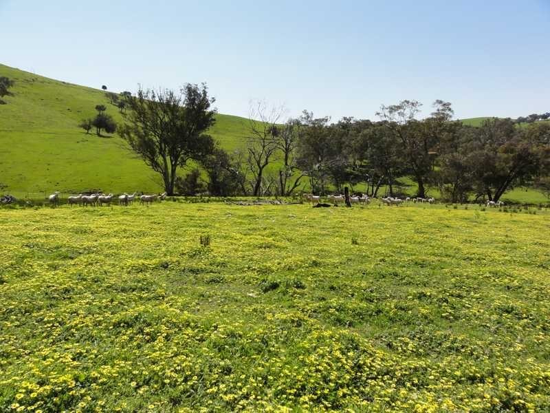 1185 Burra Road, Gundagai NSW 2722