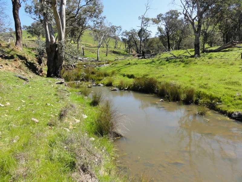 1185 Burra Road, Gundagai NSW 2722