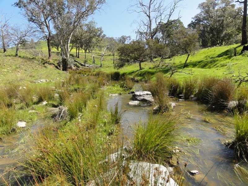 1185 Burra Road, Gundagai NSW 2722