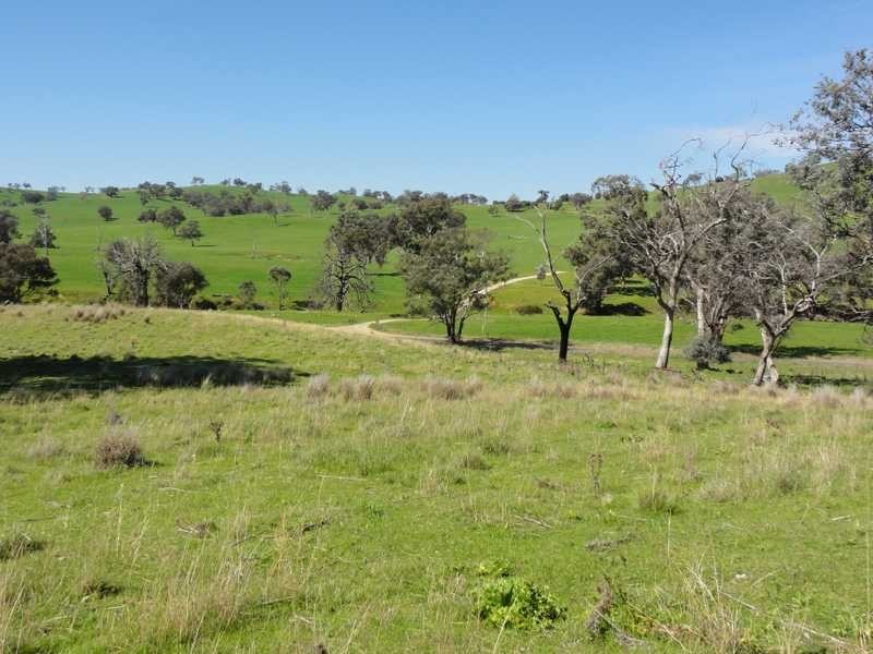 1185 Burra Road, Gundagai NSW 2722
