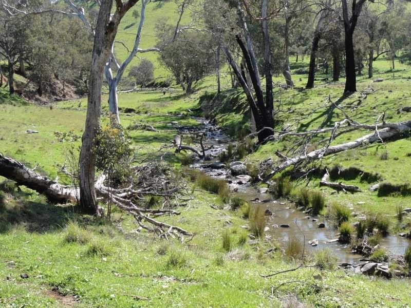 1185 Burra Road, Gundagai NSW 2722