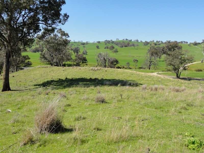 1185 Burra Road, Gundagai NSW 2722