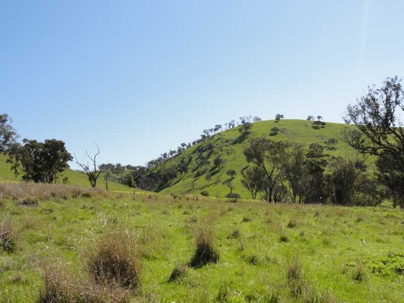 1185 Burra Road, Gundagai NSW 2722