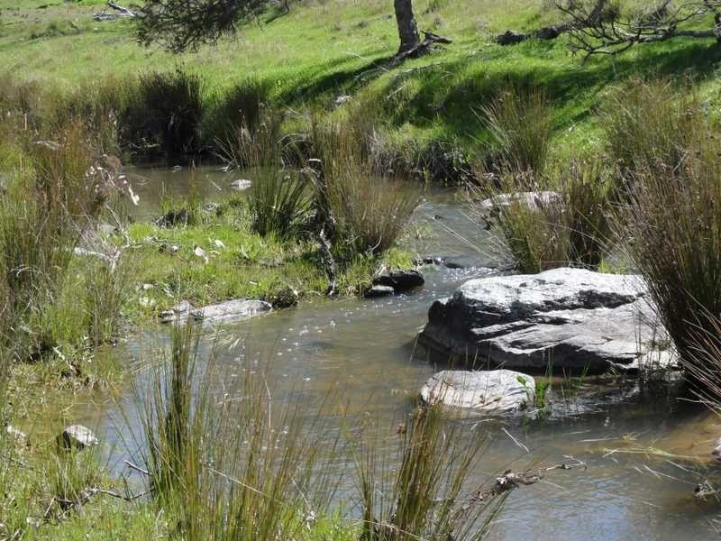 1185 Burra Road, Gundagai NSW 2722