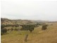 2 Five Mile Creek Road, Gundagai NSW 2722