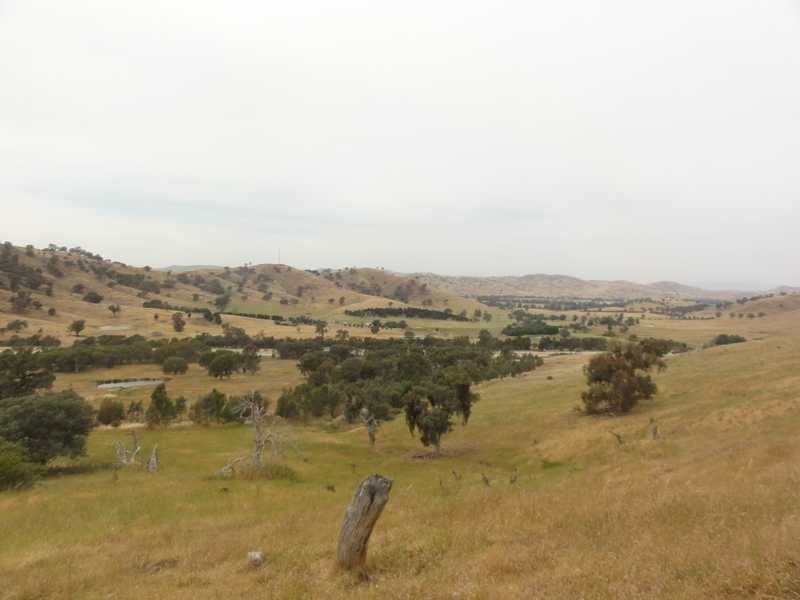2 Five Mile Creek Road, Gundagai NSW 2722