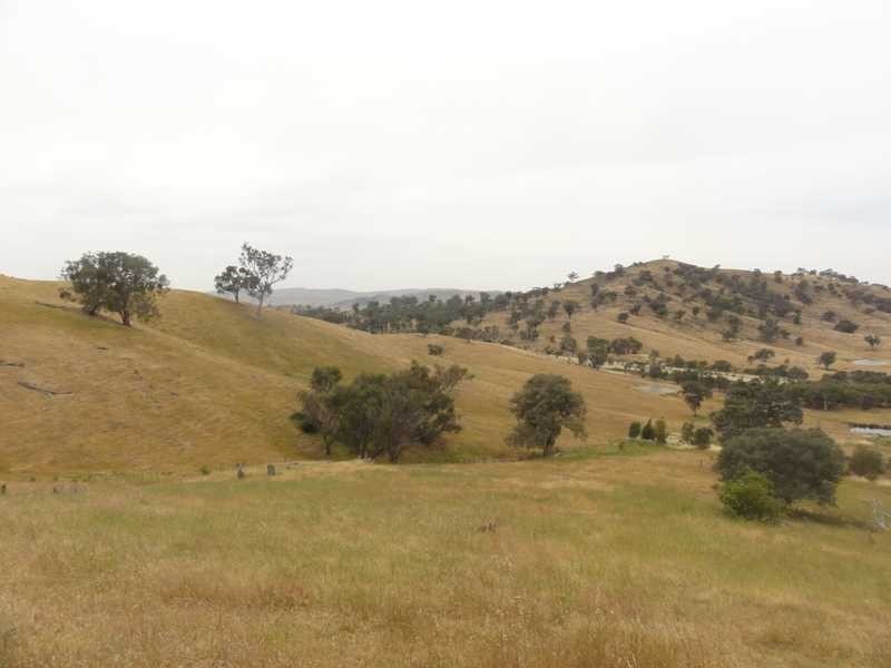 2 Five Mile Creek Road, Gundagai NSW 2722