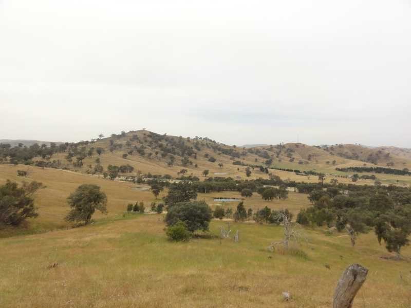 2 Five Mile Creek Road, Gundagai NSW 2722