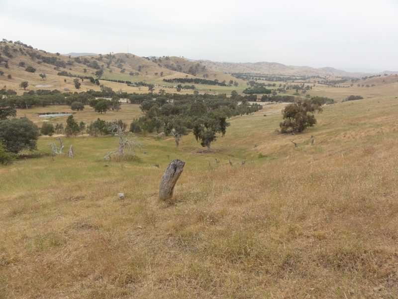 2 Five Mile Creek Road, Gundagai NSW 2722