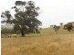 2 Five Mile Creek Road, Gundagai NSW 2722