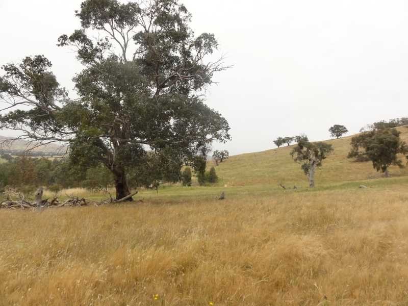 2 Five Mile Creek Road, Gundagai NSW 2722