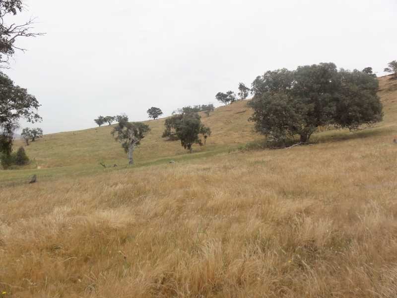 2 Five Mile Creek Road, Gundagai NSW 2722
