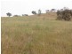 2 Five Mile Creek Road, Gundagai NSW 2722
