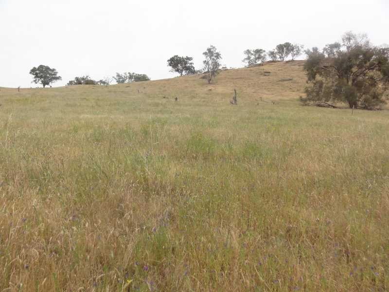 2 Five Mile Creek Road, Gundagai NSW 2722