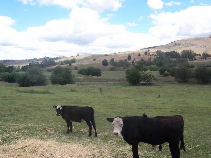 891 Grahamstown Road, Adelong NSW 2729