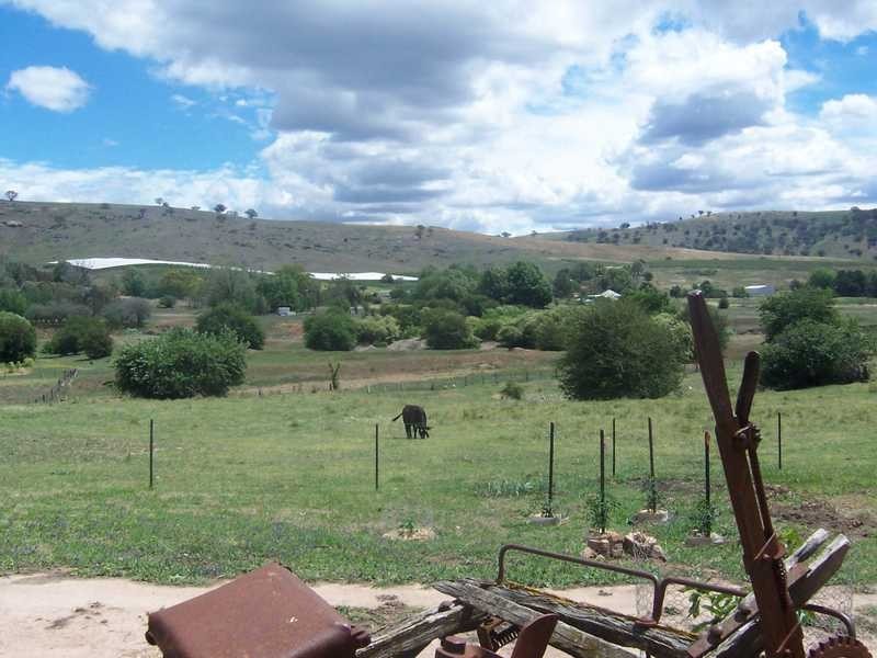 891 Grahamstown Road, Adelong NSW 2729