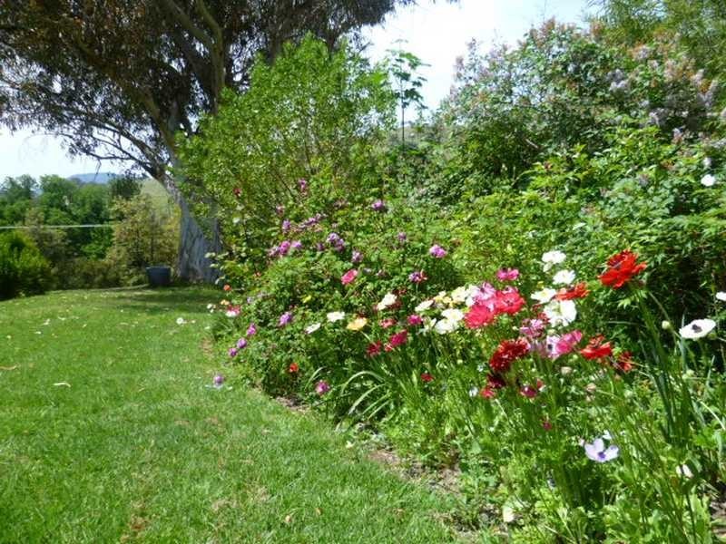 729 Grahamstown Road, Adelong NSW 2729