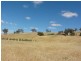 580 Nangus Road, Gundagai NSW 2722