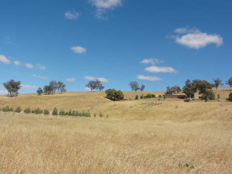 580 Nangus Road, Gundagai NSW 2722