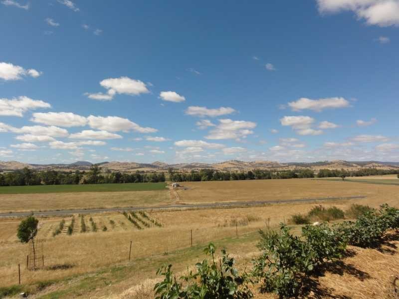 580 Nangus Road, Gundagai NSW 2722