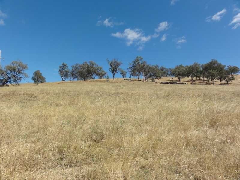 580 Nangus Road, Gundagai NSW 2722