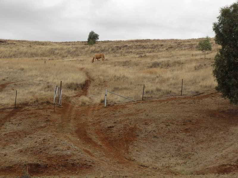 86 Jackalass Road, Gundagai NSW 2722