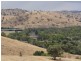 86 Jackalass Road, Gundagai NSW 2722
