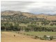86 Jackalass Road, Gundagai NSW 2722