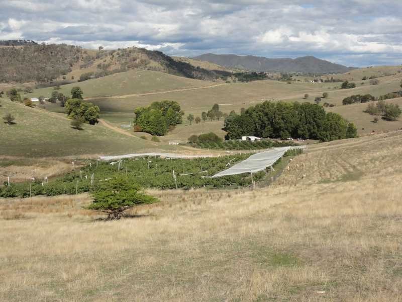 Back Sandy Gully Road, Adelong NSW 2729