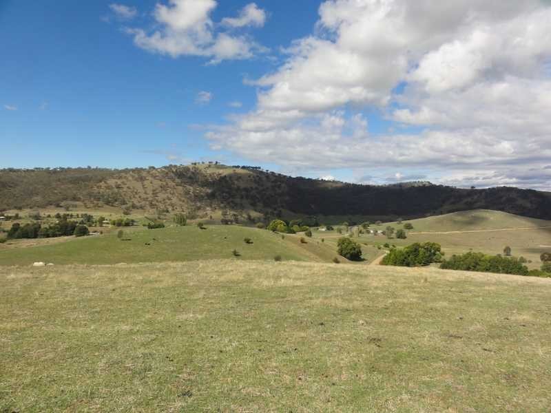 Back Sandy Gully Road, Adelong NSW 2729