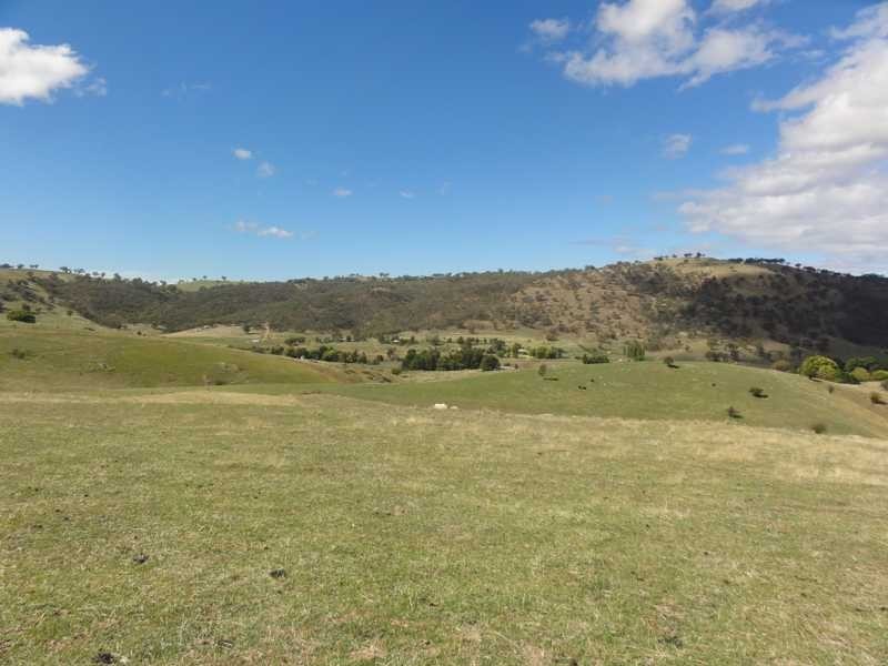 Back Sandy Gully Road, Adelong NSW 2729