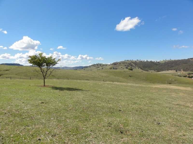 Back Sandy Gully Road, Adelong NSW 2729