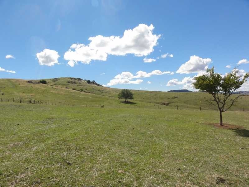 Back Sandy Gully Road, Adelong NSW 2729