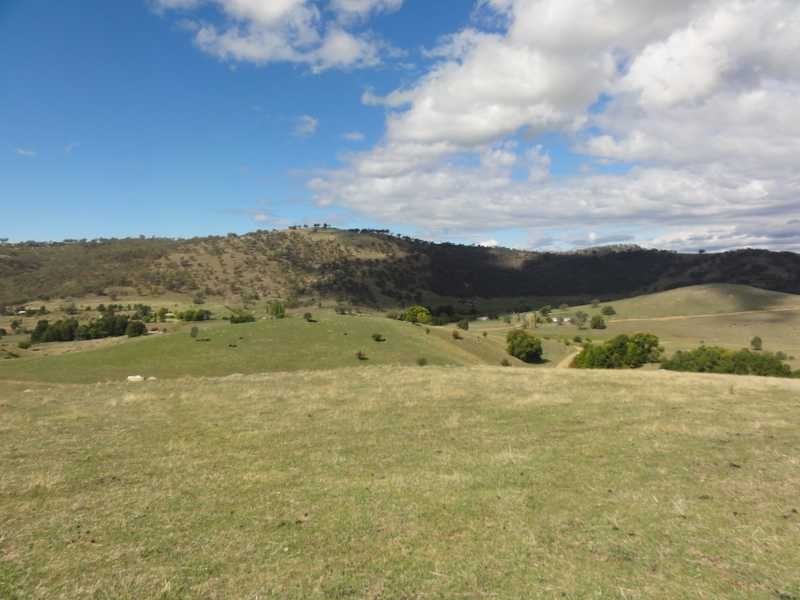 Back Sandy Gully Road, Adelong NSW 2729
