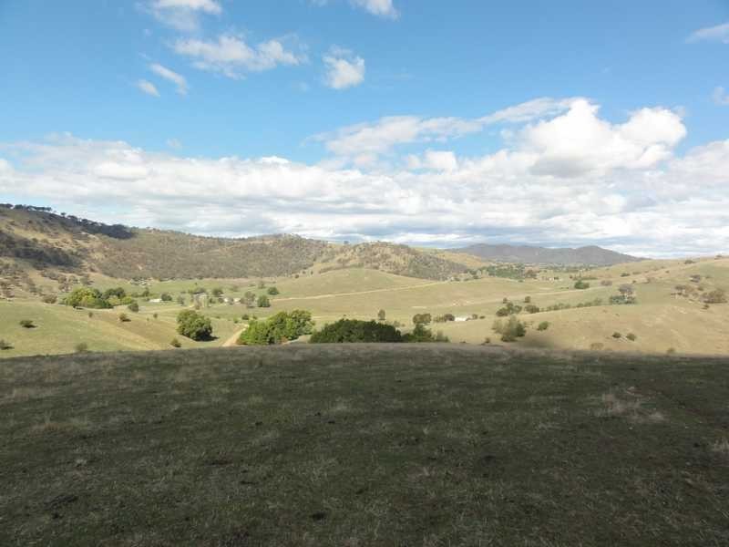 Back Sandy Gully Road, Adelong NSW 2729