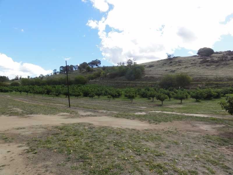 Back Sandy Gully Road, Adelong NSW 2729