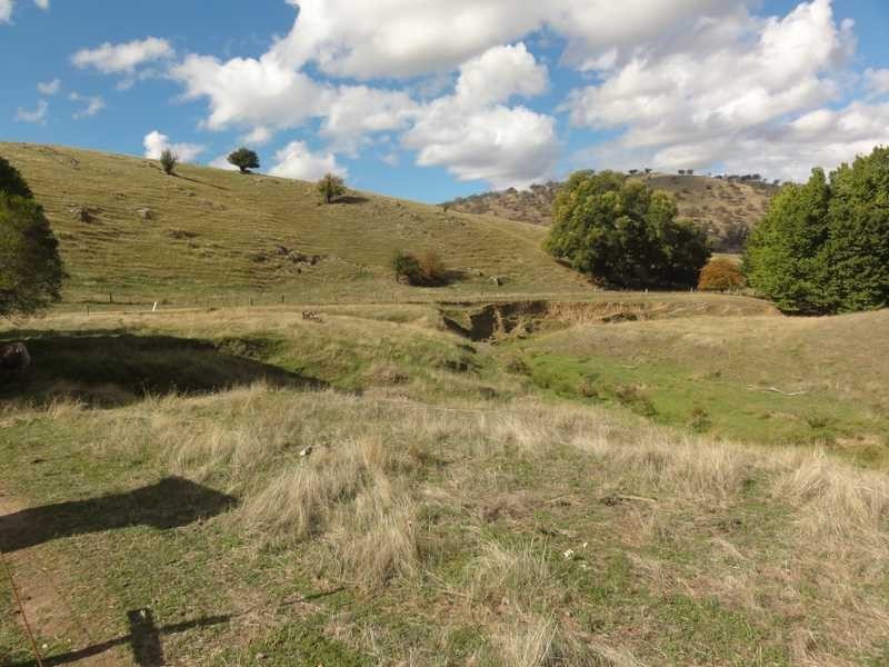 Back Sandy Gully Road, Adelong NSW 2729