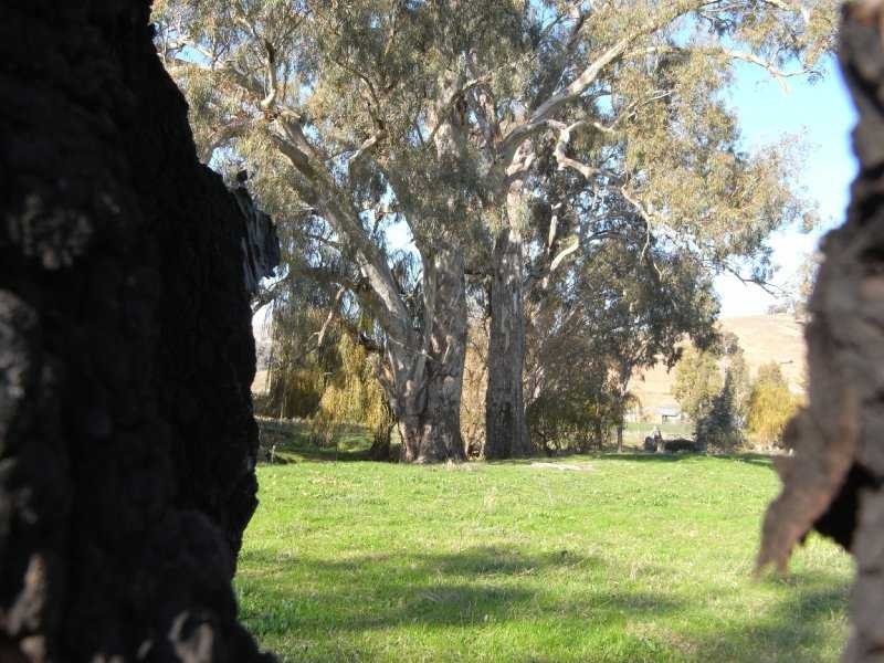 Lot/3 Adelong Road, Tumblong NSW 2729