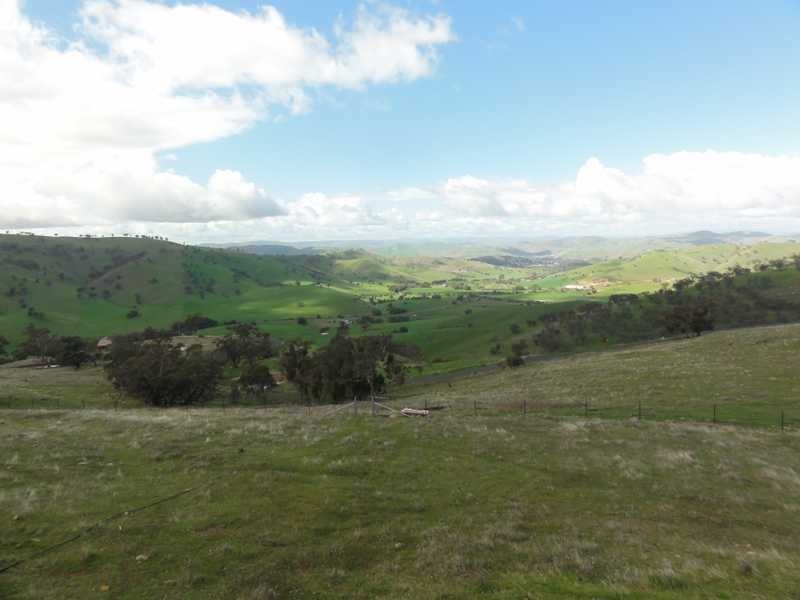 120 Reno Road, Gundagai NSW 2722