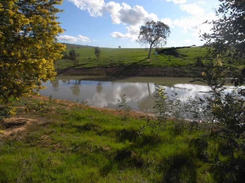 Lot/101 Old Burkleigh Estate, Gundagai NSW 2722