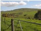 Lot/101 Old Burkleigh Estate, Gundagai NSW 2722