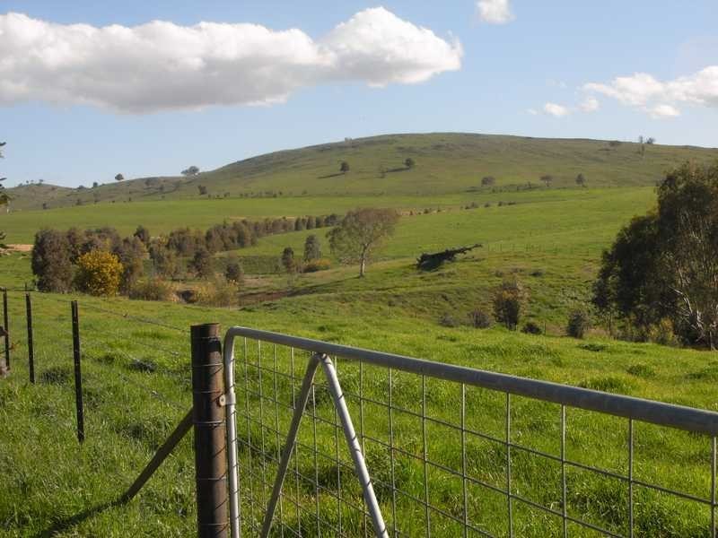 Lot/101 Old Burkleigh Estate, Gundagai NSW 2722
