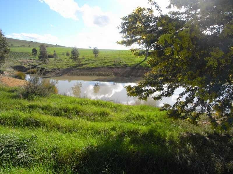 Lot/101 Old Burkleigh Estate, Gundagai NSW 2722