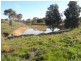 Lot/101 Old Burkleigh Estate, Gundagai NSW 2722