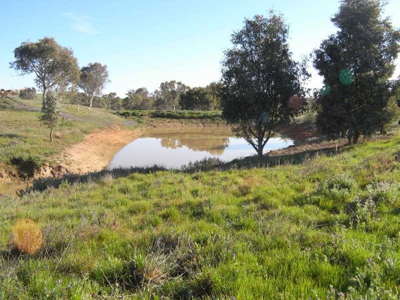 Lot/101 Old Burkleigh Estate, Gundagai NSW 2722
