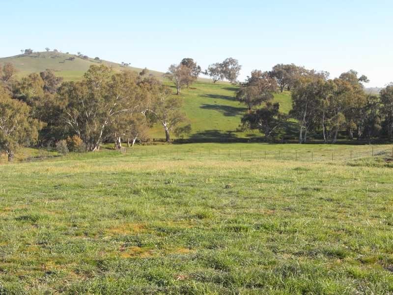 Lot/101 Old Burkleigh Estate, Gundagai NSW 2722